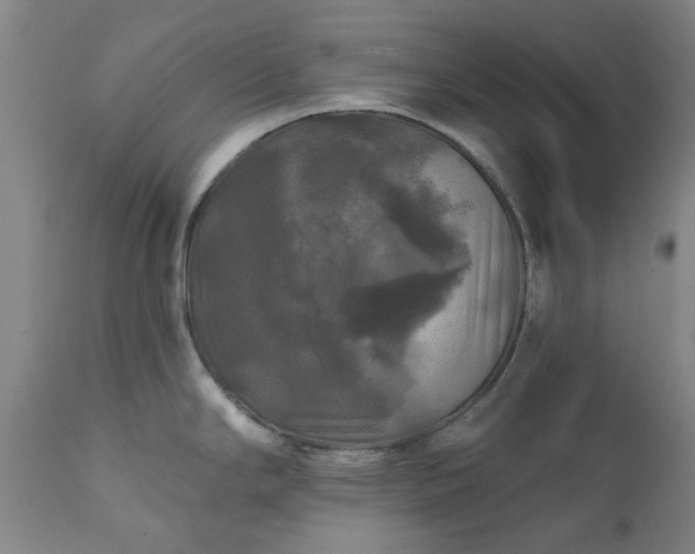 X0000111241294200907091350