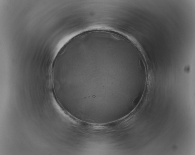 X0000111241295200907091350