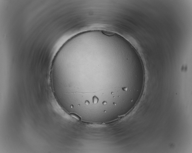 X0000111241296200907091350