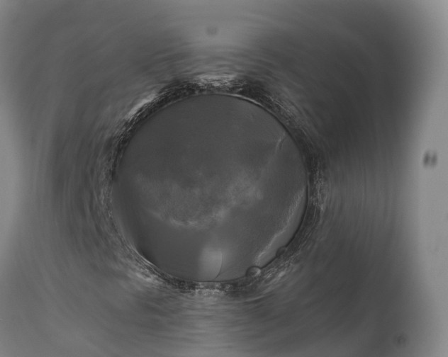 X0000111241297200907091349