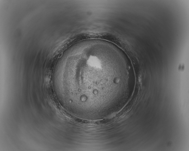 X0000111241300200907091349