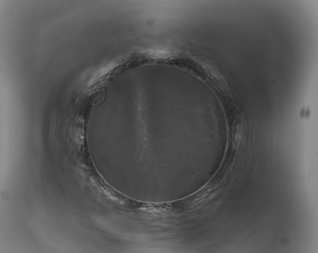 X0000111241301200907091349