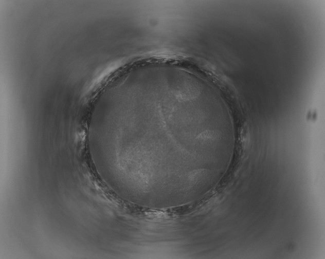 X0000111241302200907091349