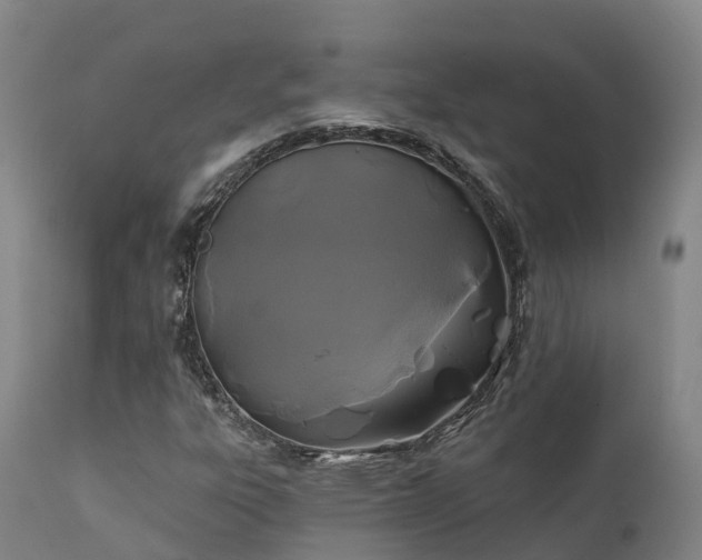 X0000111241303200907091349