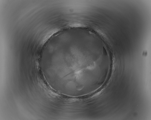 X0000111241305200907091349