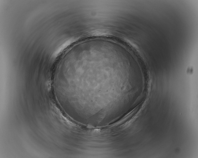 X0000111241306200907091349