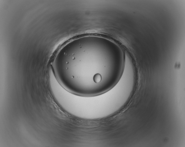 X0000111241308200907091349