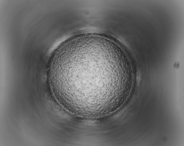 X0000111241309200907091349