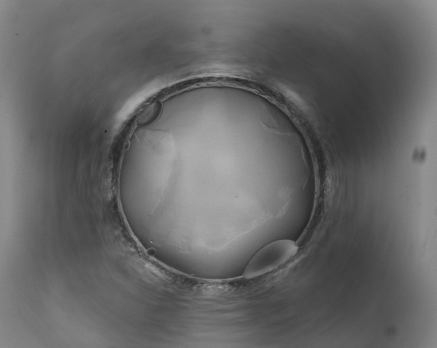 X0000111241310200907091349
