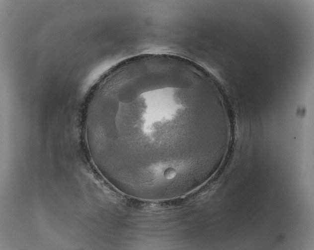 X0000111241311200907091350