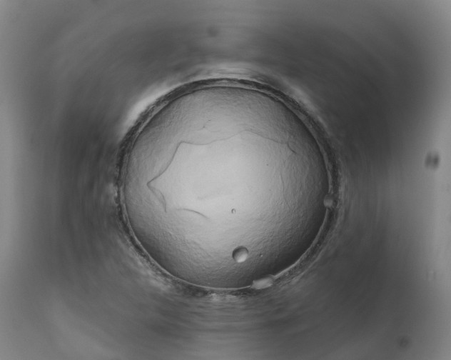X0000111241312200907091350