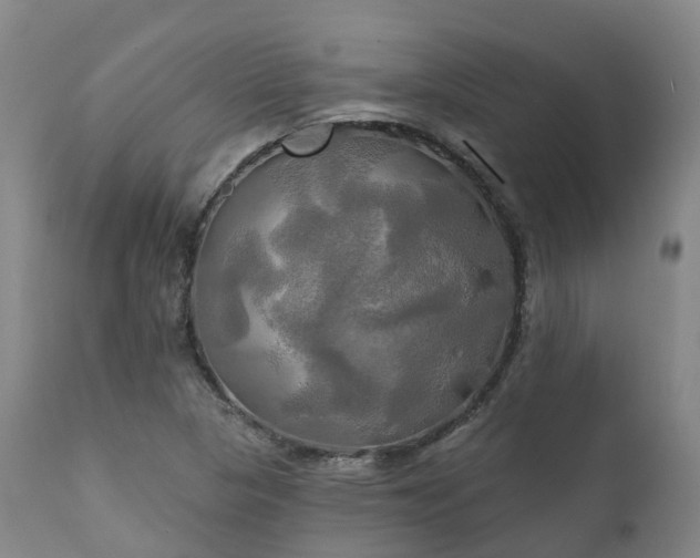 X0000111241313200907091350