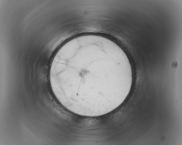 X0000111241314200907091350