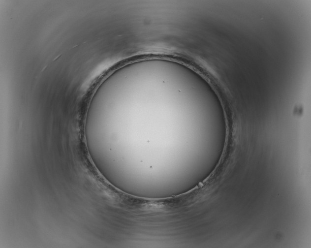X0000111241315200907091350