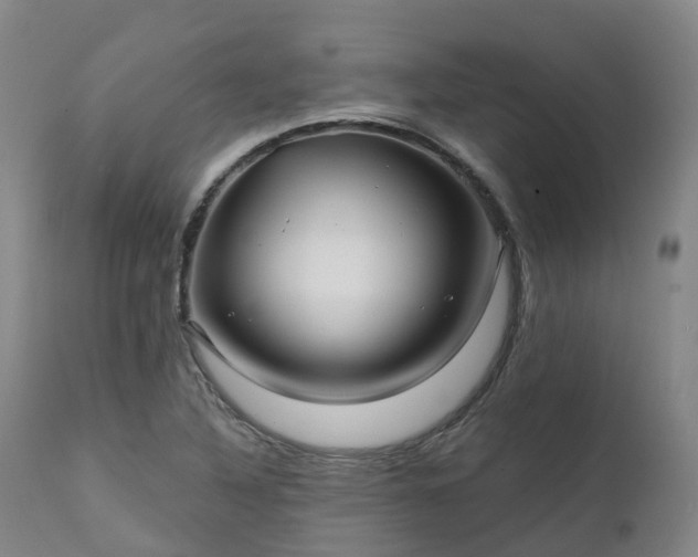 X0000111241316200907091350