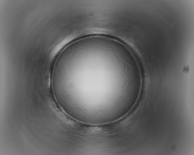 X0000111241317200907091350