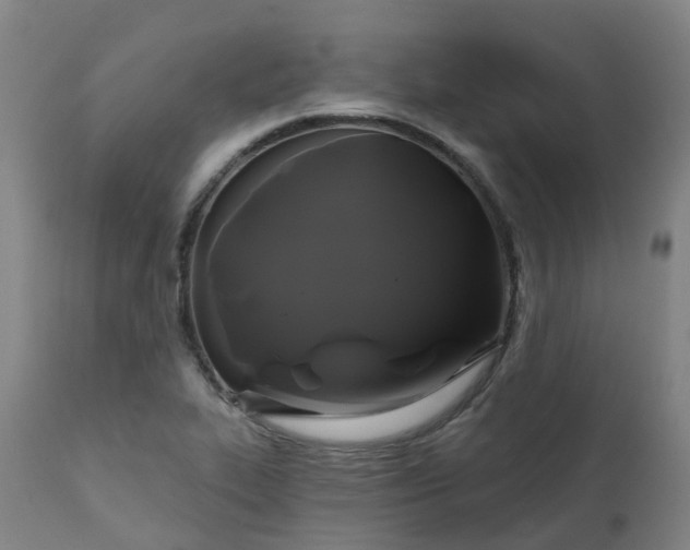 X0000111241319200907091350