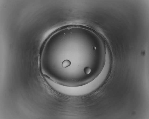 X0000111241320200907091350