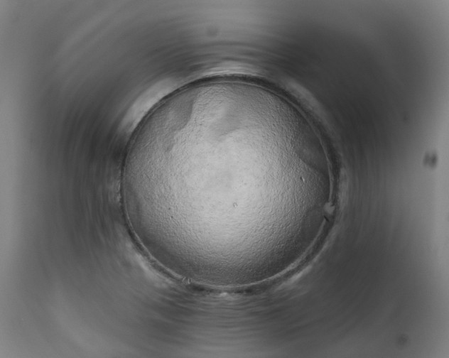 X0000111241321200907091350