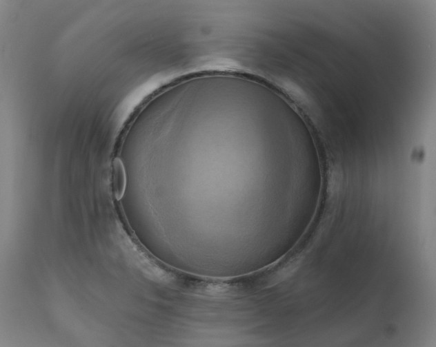 X0000111241326200907091350