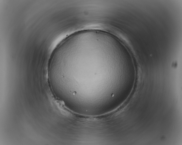 X0000111241328200907091350