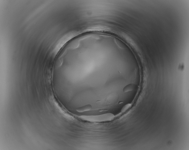X0000111241329200907091350