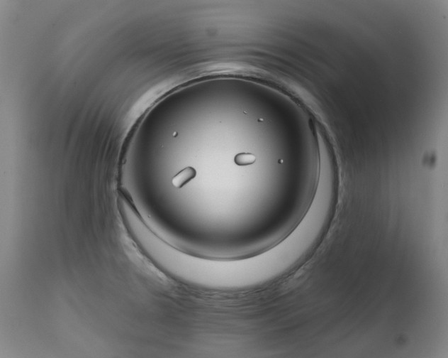 X0000111241330200907091350