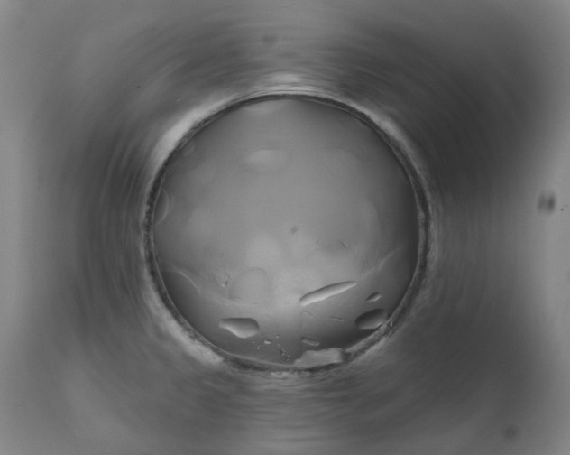 X0000111241333200907091350