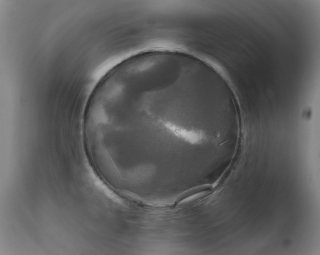 X0000111241335200907091350