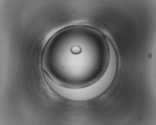 X0000111241336200907091350