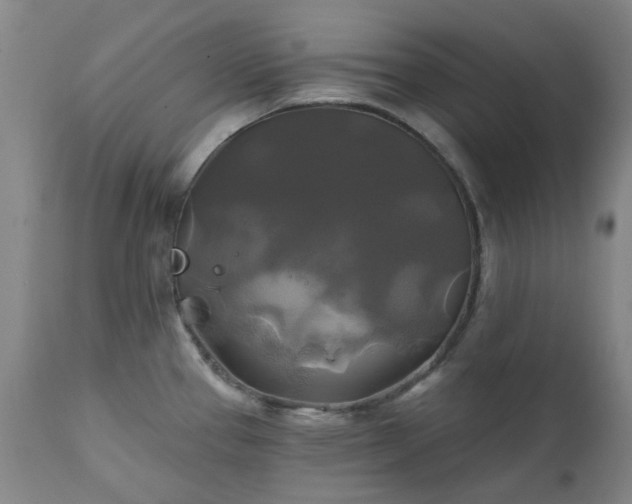 X0000111241337200907091350
