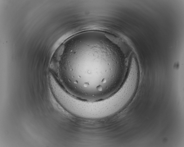 X0000111241338200907091350