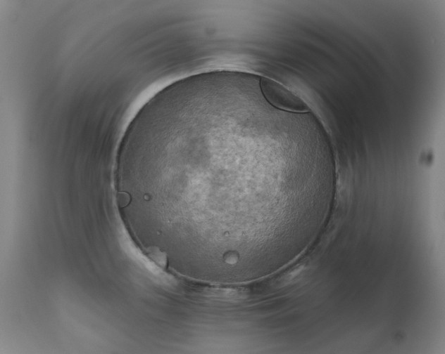 X0000111241339200907091350