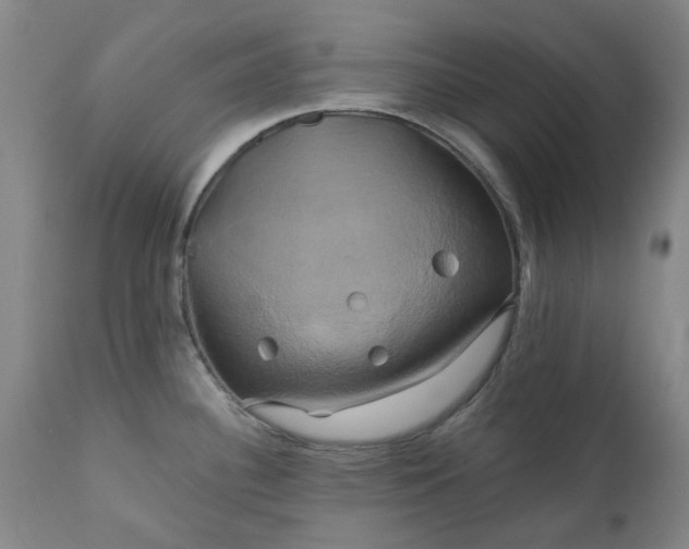 X0000111241340200907091350