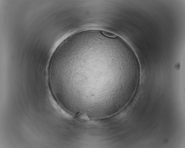 X0000111241341200907091350