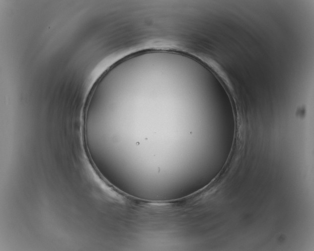 X0000111241343200907091350