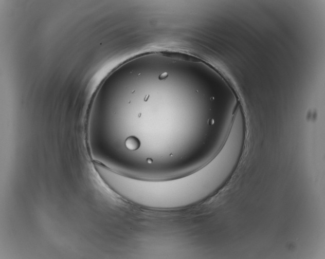 X0000111241344200907091350