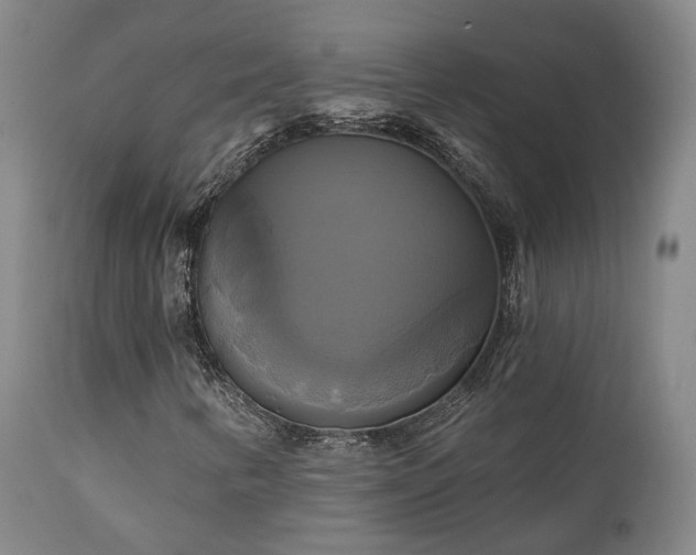 X0000111241346200907091349