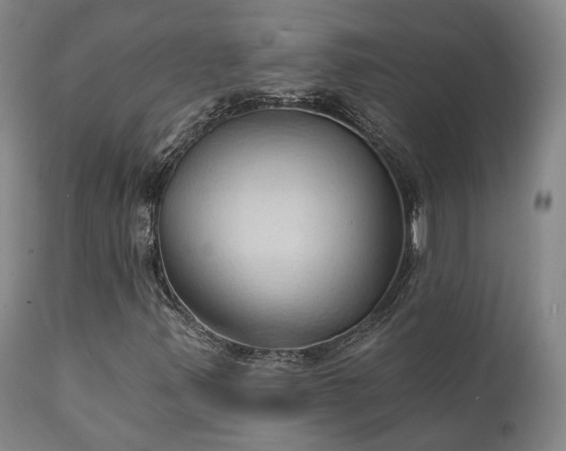 X0000111241347200907091349