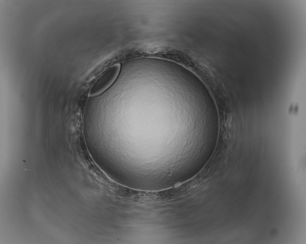 X0000111241349200907091349