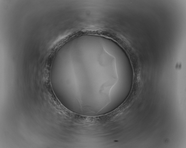 X0000111241350200907091349