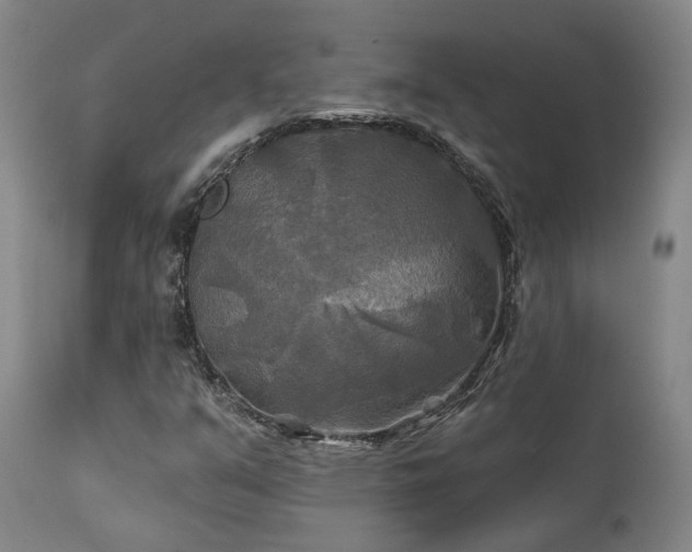 X0000111241351200907091349
