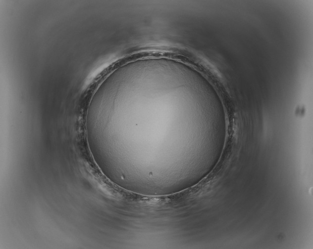 X0000111241352200907091349