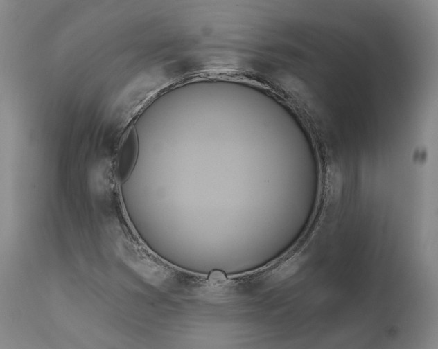 X0000111241353200907091349