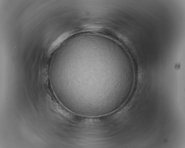 X0000111241354200907091349