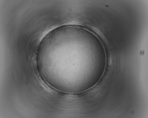 X0000111241356200907091349