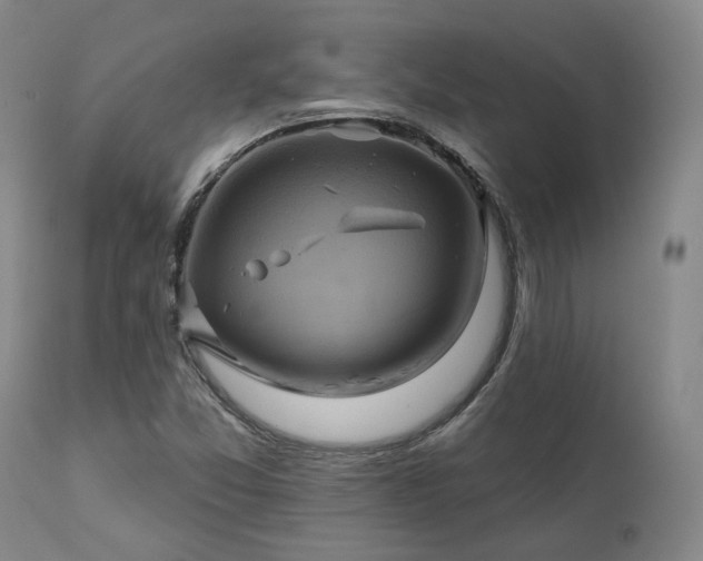 X0000111241357200907091349