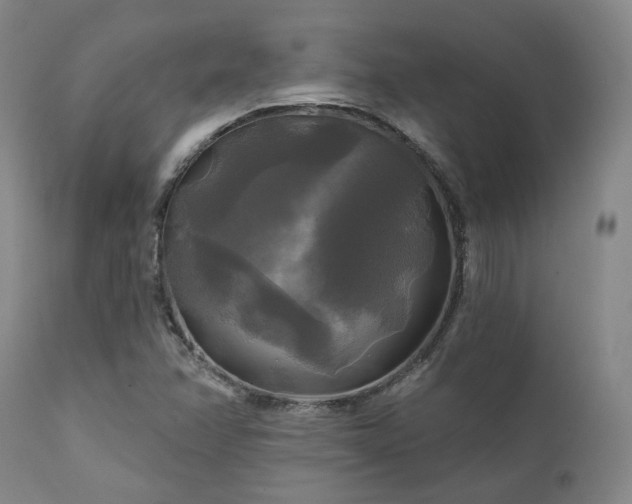X0000111241358200907091349