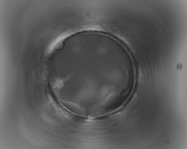 X0000111241359200907091349