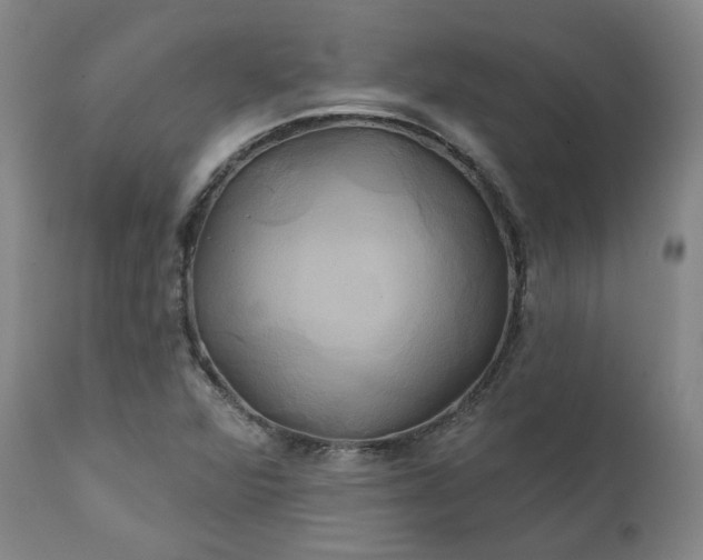 X0000111241360200907091349